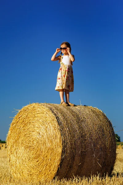 Petite fille mignonne avec des lunettes de soleil posant sur la botte de foin — Photo