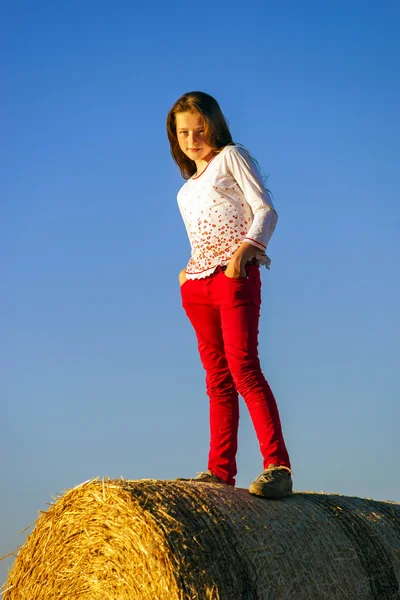 Adolescente aux cheveux longs posant dans un champ d'été, à la campagne — Photo