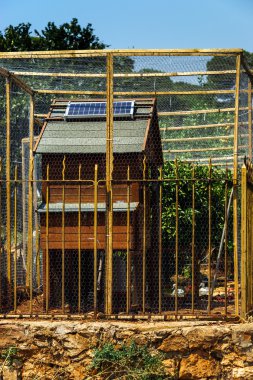 Tavuk evin çatısında güneş hücreli