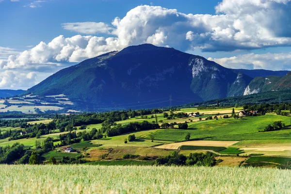 Hermosa vista de rocas, paisaje alpino — Foto de Stock