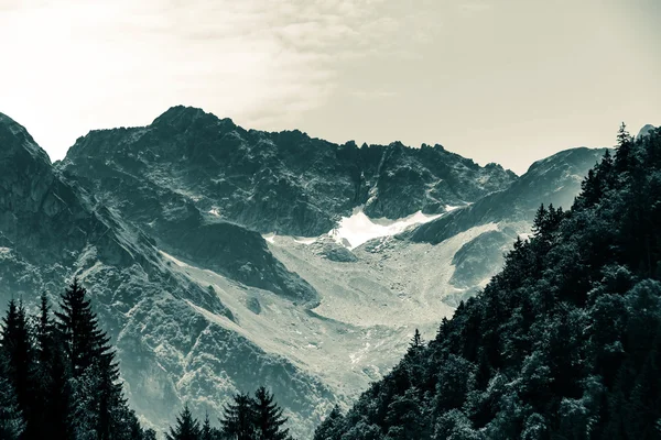 Hermosa vista de rocas, paisaje alpino — Foto de Stock