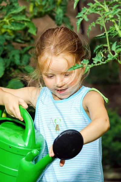 Bonito menina molhando tomate e flores no quintal — Fotografia de Stock