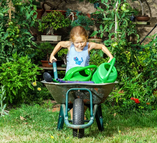 Gadis kecil yang lucu berkebun di halaman belakang — Stok Foto