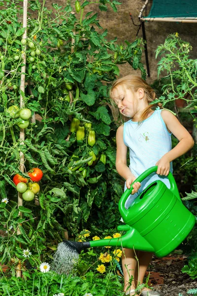 Niedliches kleines Mädchen, das Tomaten und Blumen im Hinterhof gießt — Stockfoto