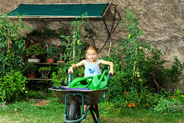 Gadis kecil yang lucu berkebun di halaman belakang — Stok Foto