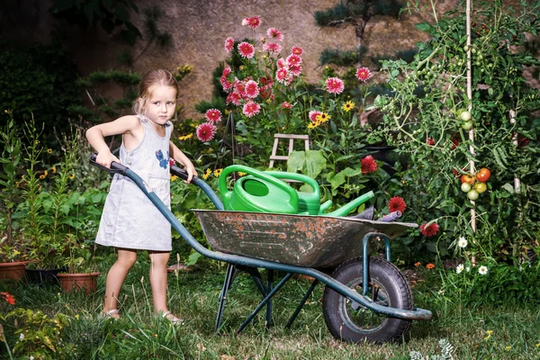 Gadis kecil yang lucu berkebun di halaman belakang — Stok Foto