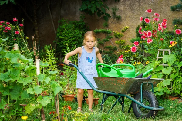 Gadis kecil yang lucu berkebun di halaman belakang — Stok Foto