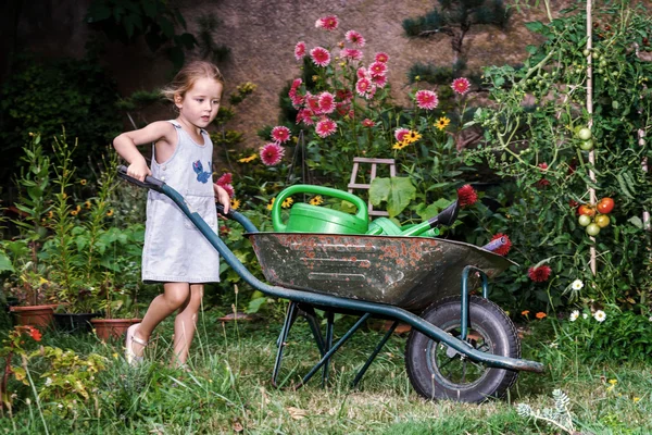 Gadis kecil yang lucu berkebun di halaman belakang — Stok Foto