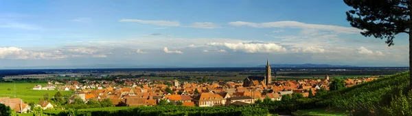 Schöner bunter sonnenuntergang über dem elsässischen dorf dambach-la-ville — Stockfoto