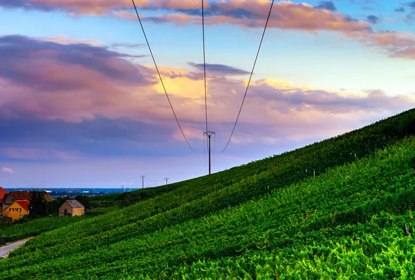 Três fios elétricos sobre colina verde — Fotografia de Stock