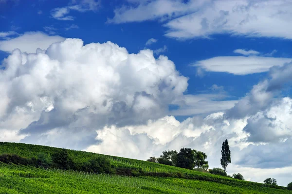 Beau paysage automnal lasacien avec collines verdoyantes et vineux — Photo