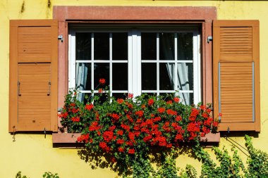 Eski alsacien evde küçük bir köy