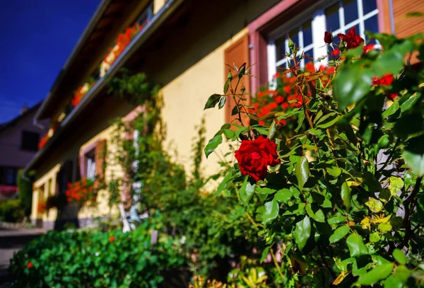 Ancienne maison alsacien dans petit village — Photo