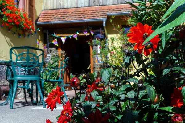 Velha casa alsacien em pequena aldeia — Fotografia de Stock