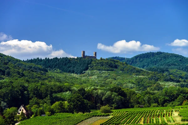 Oude middeleeuwse kasteel Andlau boven op de heuvel — Stockfoto