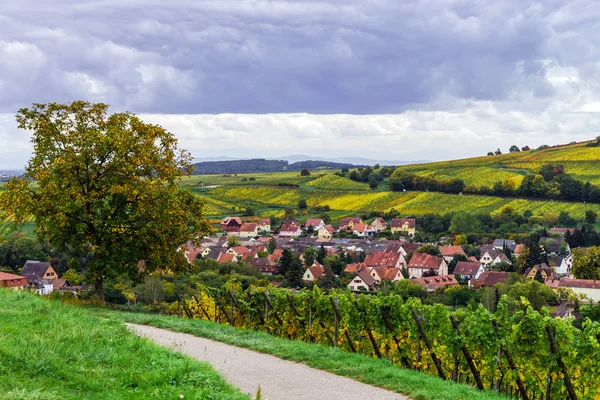 Alsace güzel renkli sonbahar tepelerde — Stok fotoğraf