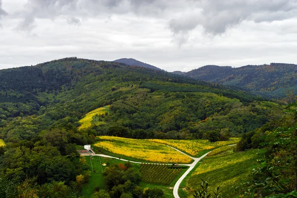 Lindas colinas de outono coloridas na Alsácia — Fotografia de Stock