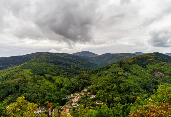Красивые цветные осенние холмы в Эльзасе — стоковое фото