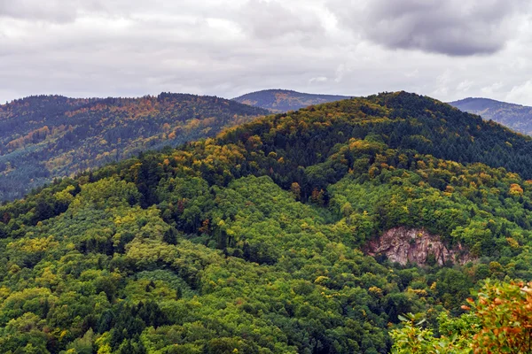 Όμορφη colorized φθινόπωρο λόφους στην Αλσατία — Φωτογραφία Αρχείου