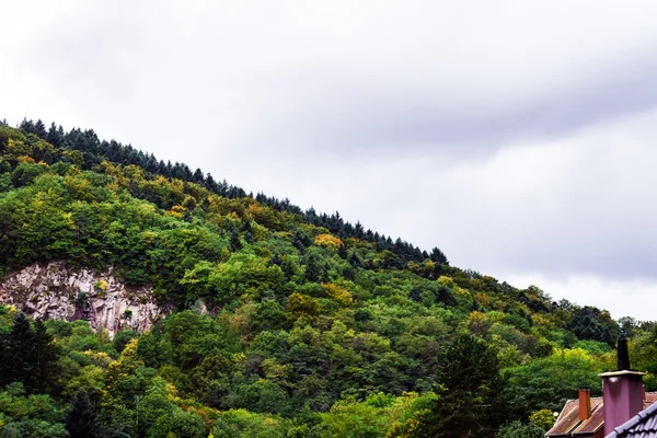 Alsace güzel renkli sonbahar tepelerde — Stok fotoğraf