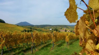 Tarih Pzr, renkli yaprak sezon kavramı, Alsace, Fransa