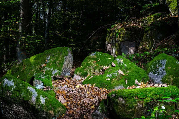 Lindo relvado coberto de pedras com musgo verde na floresta mágica — Fotografia de Stock
