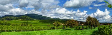 Güzel renkli sonbahar tepeler ve çayırlar Alsace'deki / daki