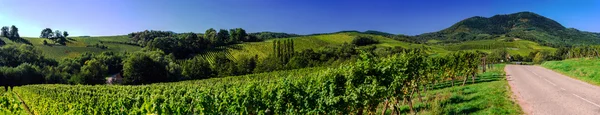 Belle colline autunnali colorate e prati in Alsazia — Foto Stock