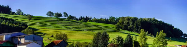 Bellissimo pascolo verde in Alsazia, Francia — Foto Stock