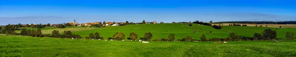 Prachtige groene weidegronden in Alsace, France — Stockfoto