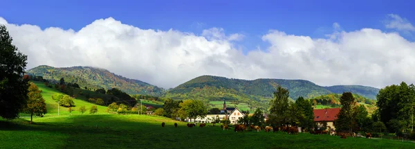 Hermoso pastoreo verde en Alsacia, Francia —  Fotos de Stock