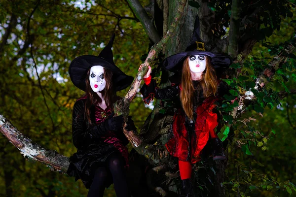 两个女巫坐在树上 — 图库照片