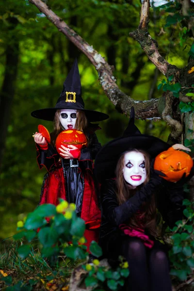 Две ведьмы в лесу, концепция Хэллоуина — стоковое фото