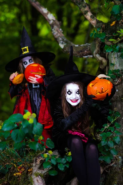 Zwei Hexen im Wald, Halloween-Konzept — Stockfoto