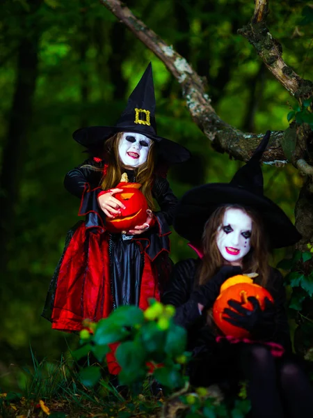 Due streghe nella foresta, concetto di Halloween — Foto Stock