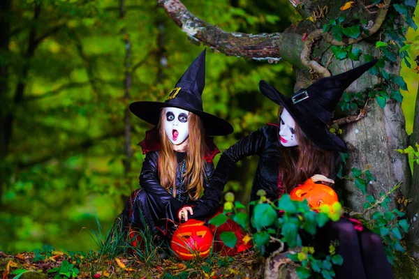 Due streghe nella foresta, concetto di Halloween — Foto Stock