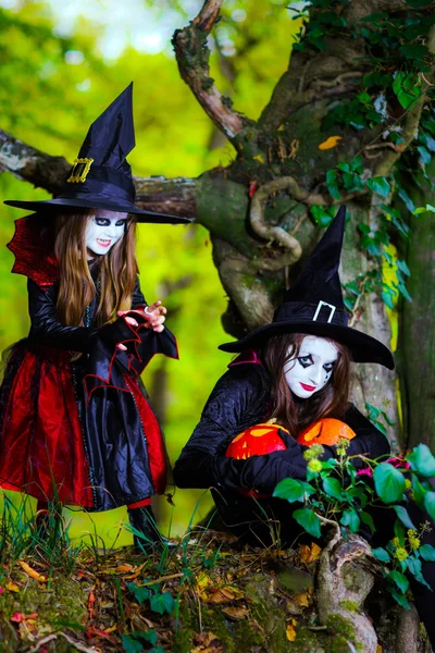Ormanda, Cadılar Bayramı kavramı iki cadı — Stok fotoğraf