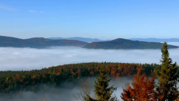 Oceaan mist verkeer onder de camera. Grote bewolking over Alsace. Panoramisch uitzicht vanaf de top van de berg. Mist zee onder de voet. — Stockvideo