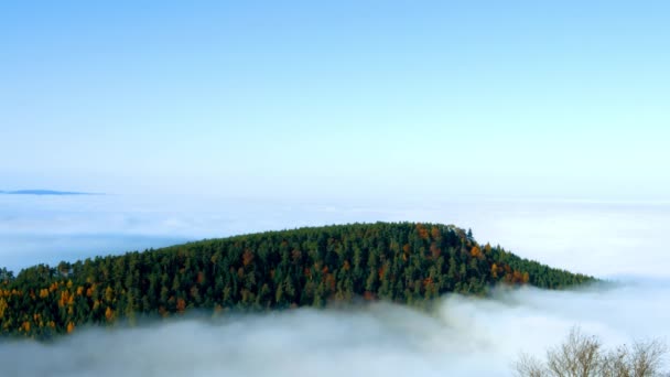 Nebelmeer unter der Kamera. stark bewölkt über dem Elsass. Panoramablick vom Gipfel des Berges. Nebelmeer unter den Füßen. — Stockvideo