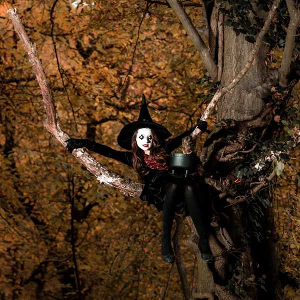 Ragazza adolescente vestita in costume da strega seduta sull'albero — Foto Stock