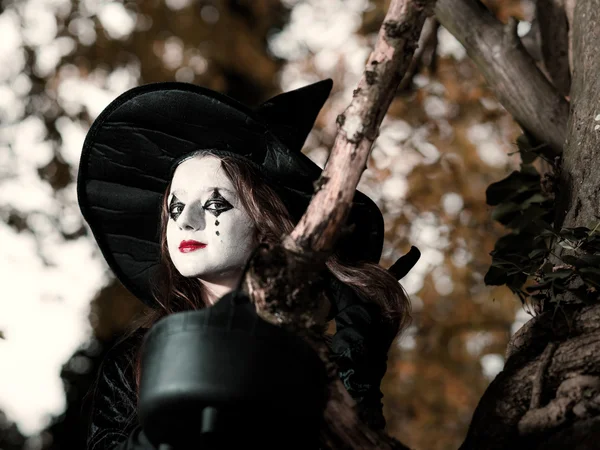 Ragazza adolescente vestita in costume da strega seduta sull'albero — Foto Stock