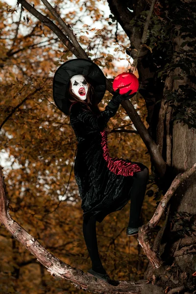 Ragazza adolescente vestita in costume da strega seduta sull'albero — Foto Stock