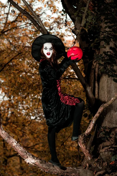 Adolescente chica vestida con traje de bruja sentado en el árbol — Foto de Stock