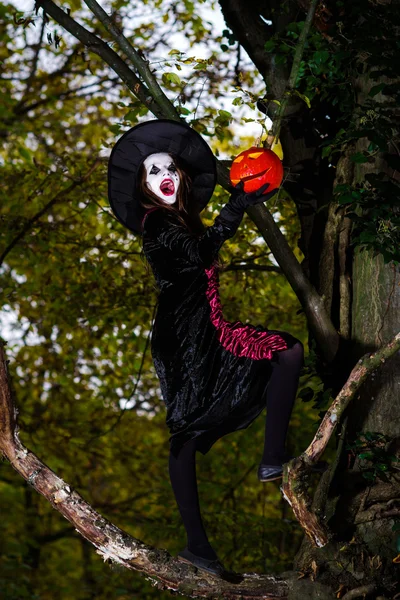 Ragazza adolescente vestita in costume da strega seduta sull'albero — Foto Stock