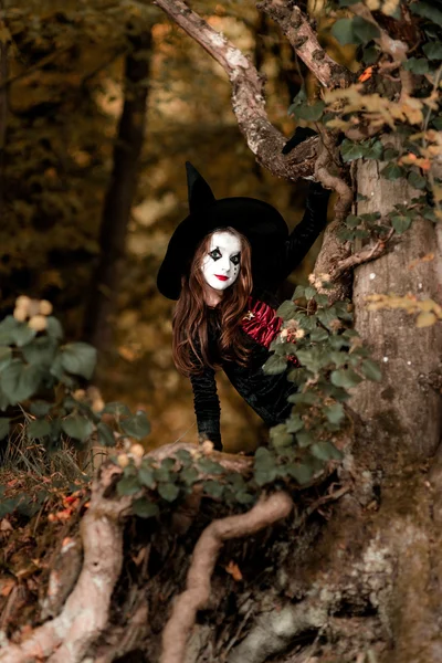 Adolescente chica vestida con traje de bruja sentado en el árbol — Foto de Stock