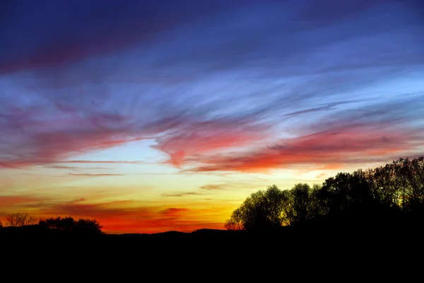 抽象五颜六色的日落风景与树剪影 — 图库照片