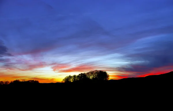 Paysage abstrait de coucher de soleil coloré avec silhouette d'arbre — Photo