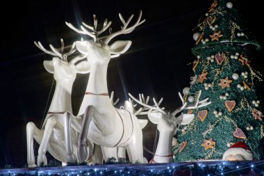 Noel aydınlatma ve tipik Fransız ev dekorasyon