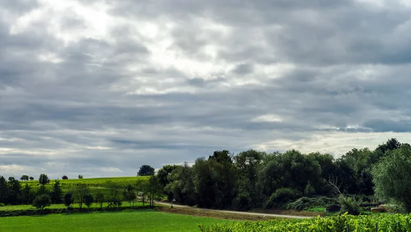 Collines verdoyantes et vignobles d'été en France — Photo
