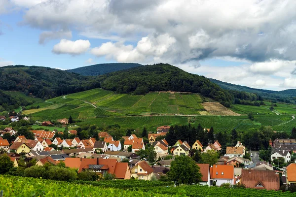 Collines verdoyantes et vignobles d'été en France — Photo